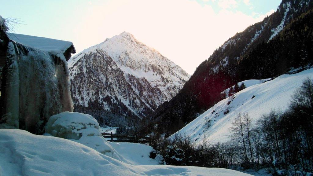 Luenerhof Guest House Neustift im Stubaital Luaran gambar