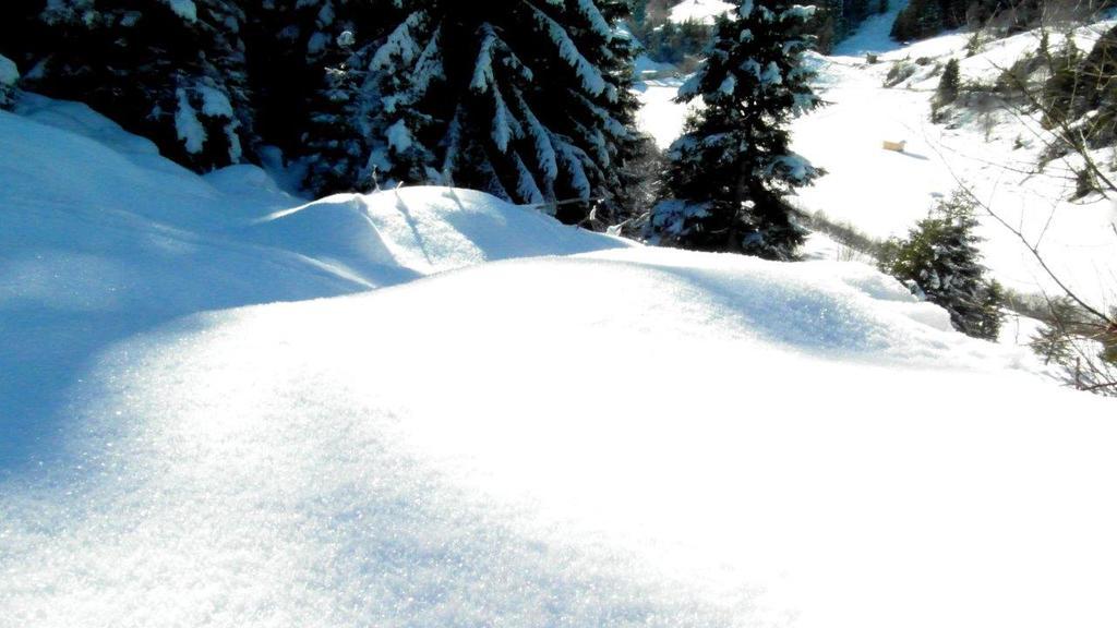 Luenerhof Guest House Neustift im Stubaital Luaran gambar