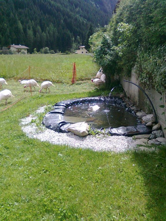 Luenerhof Guest House Neustift im Stubaital Luaran gambar