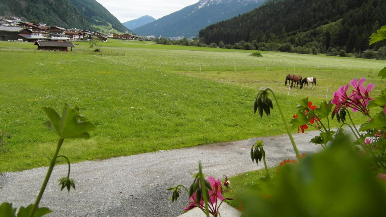 Luenerhof Guest House Neustift im Stubaital Luaran gambar